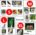 QBLEEV 2 Pack Bird Diapers, Reusable Cockatiel Tuxedo Flight Suite Costume