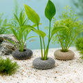 6 PCS Natural River Stone Plant Weights for Aquarium, 0.8'' Hole Diameter
