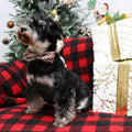 Lionet Paws Christmas Dog Bowtie Collar - Cute Cotton Adjustable Winter Dog Collar with Bowtie for Small Medium Large Do