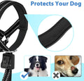 BARKLESS Soft Dog Head Collar, Patented Padded No Pull Training Head Halter