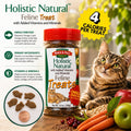 Bench & Field Holistic Natural Healthy Kitty Cat Treats | Crunchy Fish-Shaped Bites | Delicious Seafood Flavored Snack, 3-Ounce (Pack of 3 Bottles)
