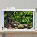 3 PCS 36"x18" Reptile Terrarium Background – Polyester Fabric for Bearded Dragon Tank Decor with Rock Bark & Forest Patt