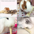 2lb Sweet Bamboo Chew Sticks for Rabbits & Guinea Pigs