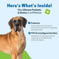 Pet Wellbeing Ultimate Probiotic 9 Strains for Dogs & Cats - Supports the Gut Microbiome and Digestion, Immune System Care, Urinary Tract Health, FOS, 2.5 Billion CFU - 11.29 oz (320 g) Powder