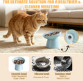 Ceramic Elevated Slow Feeder Cat Bowl - 6" Raised Cat Food Bowl for Bloat Relief & Anti-Vomiting, Whisker Friendly Ceram