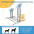 Dog Breeding Stand, Adjustable Stainless Steel Breeding Stand for Dogs（L）