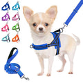Lukovee No Pull Dog Harness and Leash Set, Soft Padded Small Dog Harness, Neck & Chest Adjustable Reflective Vest Puppy Harness with 4ft Lightweight Anti-Twist Dog Leash for Small Dogs (XS, Blue)