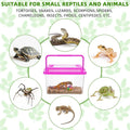 LemonRoad 15 Pcs Plastic Reptile Terrarium Carrier Cage