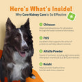 Pet Wellbeing Core Kidney Care for Dogs - Daily Phosphate Binder, 144 g