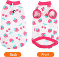 FEimaX Cat Surgery Recovery Suit Cat Onesie Shirt Kitten Clothes After Surgery Spay Surgical Cone of Shame Alternative Surgical Spay Suit for Female Cat, Post-Surgery or Skin Diseases Protection
