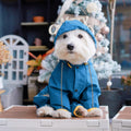 Mabawa Dog Raincoat, Waterproof Dog Rain Jacket with Hood, Rain Coat with Leash Hole, Reflective Strap for Small Medium Dogs, Outdoor Adventures/Walking Lightweight Puppy (Blue,M)