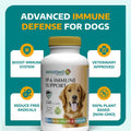 1-TDC WorksSoWell IP-6 Immune Support for Dogs – 240 V-Caps – Helps Promote Healthy Bones, Teeth, Kidney, Liver Function