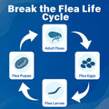 Topical Flea and Tick Care for Dogs, Monthly Application Dogs Over 6 Weeks