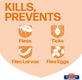 Hartz UltraGuard Dual Action Flea & Tick Topical Dog Treatment and Flea and Tick Prevention, 6 Months, 5-14 Pound Dogs 6