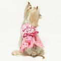 Fitwarm Birthday Girl Dog Tulle Dress, Dog Clothes for Small Dogs Girl, Cat Apparel, Pink