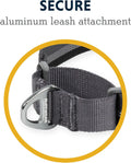 Ruffwear, Web Reaction Martingale Dog Collar