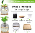 Betta Fish Bowl Glass Small Fish Tank with Bamboo Stand, Plant Propagation Station Hydroponic Terrarium with Lid beta Fi