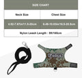 Hypeety Bearded Dragon Harness and Leash Set for Outdoor Walking, Green