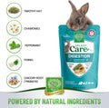 Small Pet Select Digestion Support Supplement for Rabbits, 4.2 oz
