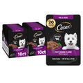 Cesar Filets in Gravy Wet Dog Food, Filet Mignon Flavor, Wet Food for Dogs, 1.76 oz. Mini-Pouches, 20 Count