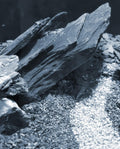 Natural Slate Stone 5 to 7 Inches - USA Sourced and Packaged for Aquascaping Aquariums, Terrariums, Paludariums, Reptile