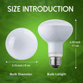 Reptile Heat Lamp Bulb, 100 Watt UVA Daylight Basking Spot Light for Bearded Dragon, Turtle, Lizard, Snake, Tortoise, Ch