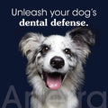 Remineralizing Dog Toothpaste – Vet-Grade, with Nano-Hydroxyapatite, Reverses Early-Stage Decay, Cleans Teeth, Removes Tartar, Freshens Breath by Arterra Pet Science, Plant-Based, Natural Flavor, 3oz