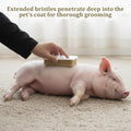 2 PCS Pig Toy, Pig Self-Grooming Scratch Brush with Hanging Hole for Barns