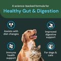 VetriScience Veterinary Strength Healthy Gut & Digestion, 60 Count