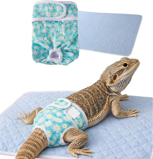 Bearded Dragon Diaper and Pad Set, Reusable and Washable, Helps Protect Sofa, Bed and Floor for Indoor Use (Blue, XS)