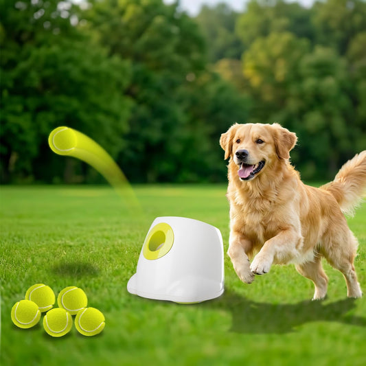 ALL FOR PAWS Automatic Ball Launcher for Dogs, Interactive Tennis Ball Outdoor Thrower for Medium to Large Dogs, Recharg