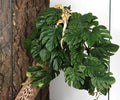 2Pack Reptile Plants for Terrarium, Fake Monstera with Suction Cups
