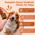 ZEBORA Probiotics for Dogs, Digestive Health, Pumpkin, 120 Soft Chews