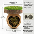Handmade Natural Walnut Shell Jumping Spider Hide - Magnetic Spider Enclosure Accessories with Sturdy Neodymium Magnets,