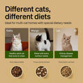 PETLIBRO RFID Automatic Cat Feeder, Collar Sensor for Personalized Meals, Cats Recognition, Diet Tracking and Anti-Steal
