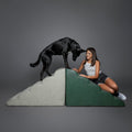 Noah & Paw Extreme Width 27" Dog Stairs for Large Dogs Up to 200lb Dog Ramp