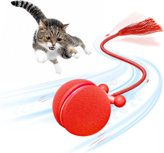 Cheerble Interactive Cat Toy Ball, Automatic Moving Toys for Indoor Cats