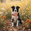 Lionet Paws Fall Dog Bandana Washable Cotton Borwn Handkerchief Scarf Triangle Floral Oxalis Bandana for Medium Large Do