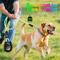 YFbrite 6Ft Light Up Dog Leash, LED & Rechargeable USB-C, 15 Flashing Modes, Waterproof Reflective Dog Leash for Night W