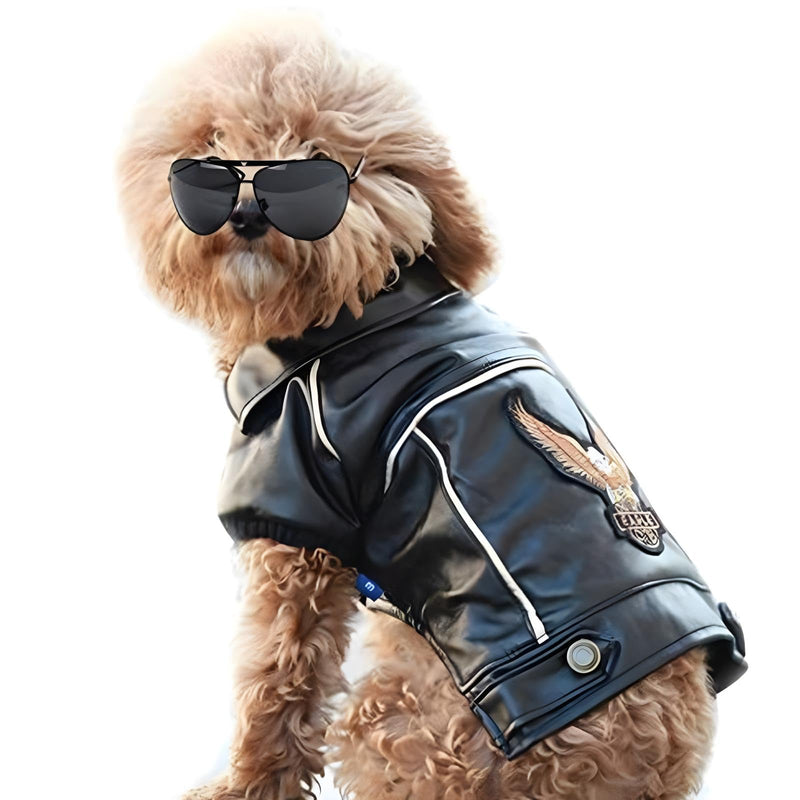 NIULA Dog Leather Jacket - Cute Leather Dog Jackets Motorcycle Clothes with Buttons Pet Waterproof Winter Coat for Small Medium Dogs(Black, XS)