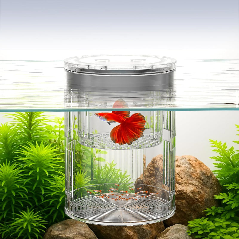 Floating Acrylic Breeder Box for Fish Tank - Aquarium Isolation Separator Hatchery Incubator for Guppy, Betta, Clownfish