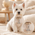 Grevosea 2 Pcs Mini Dog Collar Bells, Silver Cat Bell Pet Pendant Charm