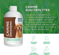BEAM Minerals Advanced Canine Mineral and Electrolyte Replenishment Set