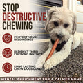 Bully Bunches Premium (6" Thick - 5 Pack) Odour-Free Bully Sticks for Small & Medium Dogs - Consistently Sized, Long Las