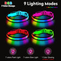 LED Dog Collar, Light Up Dog Collar,for Night Walking(Large,Green)