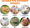 Sofier 32Pcs Timothy Hay Sticks 320g for Rabbit, Guinea Pig, Hamster - Natural Handmade Treats and Chews for Teeth - Chi