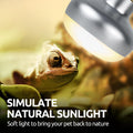 REPTI ZOO Reptile Heat Lamp Bulb and UVB 10.0 Reptile Light Combo Pack, 100W Intense Basking Spot Light UVA Heat Lamp Bu