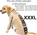 Olsa Dog Raincoat, Dog Hooded Slicker Poncho, 4 Legs Rain Jacket with Reflective Stripe, Water Proof Rain Snow Clothes w