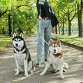 KOOLTAIL Dual Retractable Dog Leash for Two Dogs Up to 110 Lbs, Heavy Duty Double Headed 16 ft Extendable 360° Tangle-Fr
