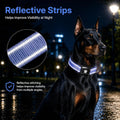 GPS Dog Collar with Tracker, Waterproof, No Monthly Fee, Blue, L